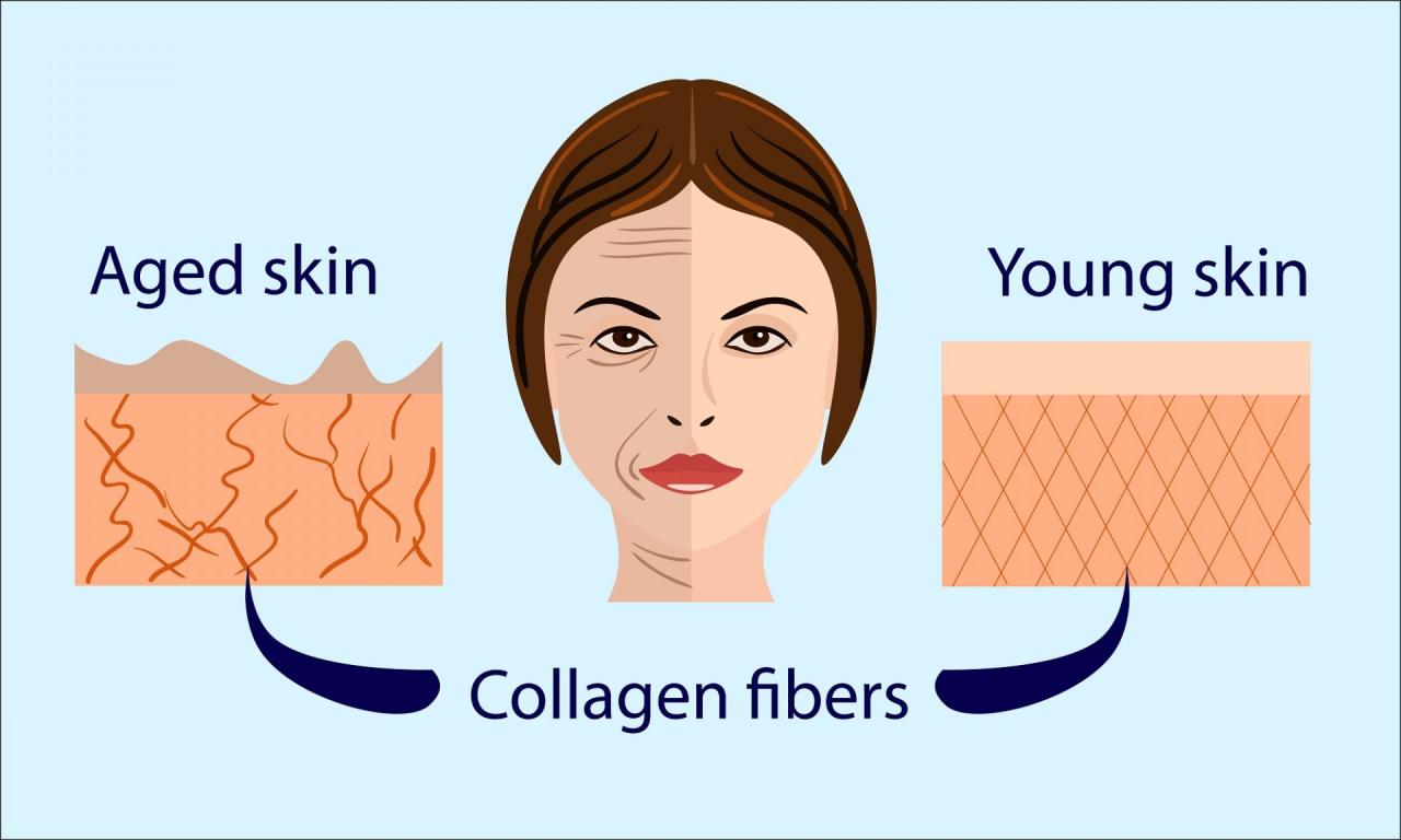 The science behind collagen and its benefits for the body